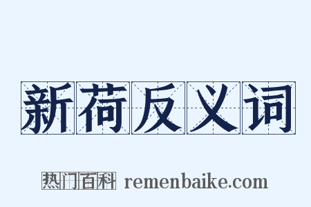 新荷反义词是什么意思的图片